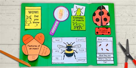 Beyond The Worksheet What Are The Benefits Of Using Lapbooks In