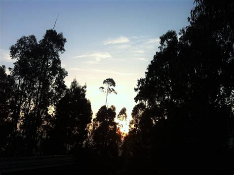 Ooty Travelogue With Things To Do & Awesome Ooty Weather