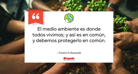 Frases Sobre El D A De La Tierra