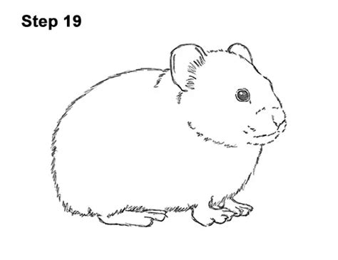 How To Draw A Pika Video And Step By Step Pictures