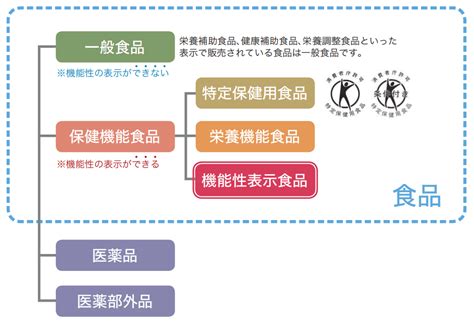 小林製薬の紅麹を含む商品に健康被害の懸念 健康レシピ＋筋肉の動き＋骨格＝自分の身体を知る