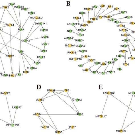 Protein Interaction Networks Of Degs Download Scientific Diagram