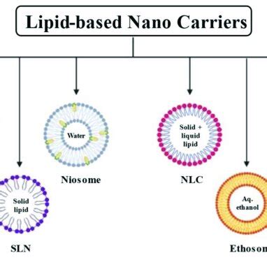 List Of Lipid Based Nanocarriers Used For Delivery Of Pharmaceutically