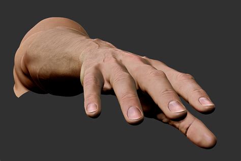 D Realistic Male Arm Hand Model Turbosquid