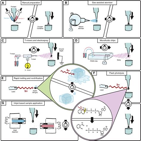 Frozen In Time Analyzing Molecular Dynamics With Time Resolved Cryo Em