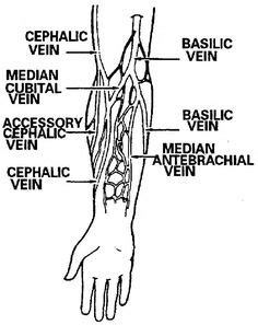 Phlebotomy Procedure - E Phlebotomy Training