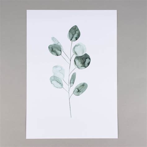 Eukalyptus Papier Weiss Gruen A3 29 7x42cm 82713 105015 Name Print