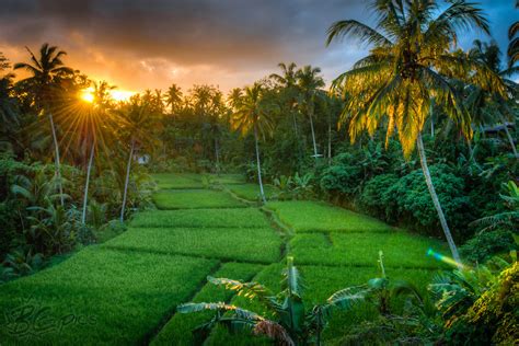 Pemandangan Alam