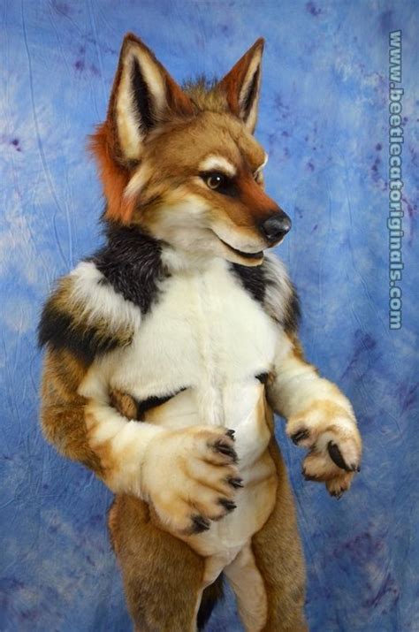 Gallery — Beetlecat Originals Furry Art Fursuit Furry Furry