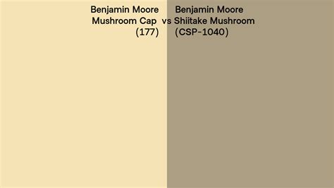 Benjamin Moore Mushroom Cap Vs Shiitake Mushroom Side By Side Comparison