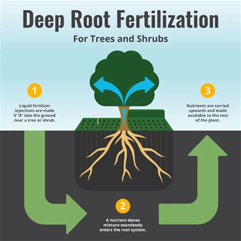 Deep Root Fertilizer A New Fall Add On Service