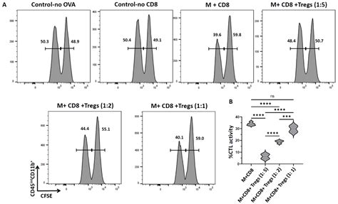 Cells Free Full Text Regulatory T Cells Suppress Cytotoxic T