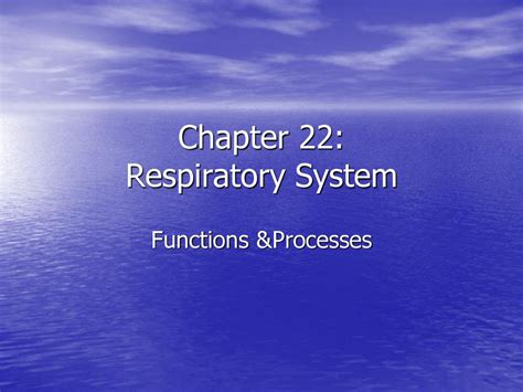 Chapter 22 Respiratory System Ppt Download