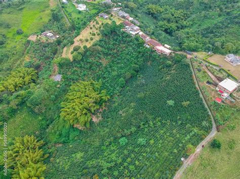 Foto De Esto Es Colombia Un Pais Lleno De Amor Cultura Biodiversidad