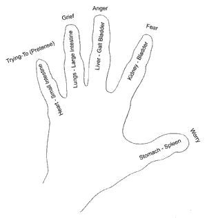 Jin Shin Jyutsu Chart For Hands A Few Years Ago A Friend S Mother