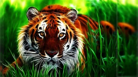 Tiger Hd Wallpaper 81 Images