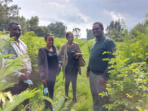 afc  ethiopia studying barriers  agricultural finance  smes