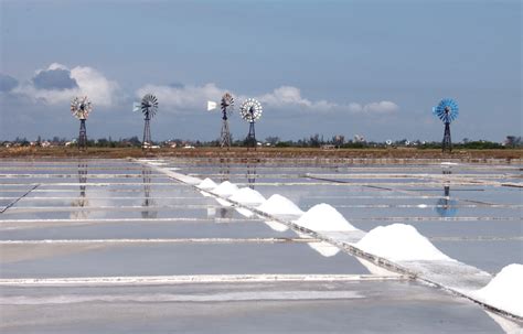 De Onde Vem O Sal Igui Ecologia