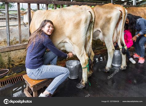 Close Woman Milking Cow Hand Stock Photo By ©wollertz 357056438