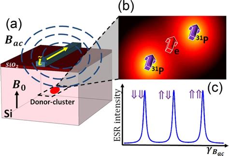 Characterizing Sip Quantum Dot Qubits With Spin Resonance Techniques