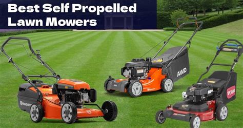 Best Self Propelled Lawn Mowers Haute Life Hub