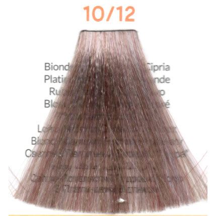 Vopsea Inebrya 100 Ml 10 12 PLATINUM ASH POWDER BLONDE