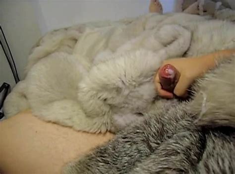 Fucking Furs Gay Masturbation Porn XHamster