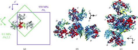 Iucr High Pressure Protein Crystallography Of Hen Egg White Lysozyme