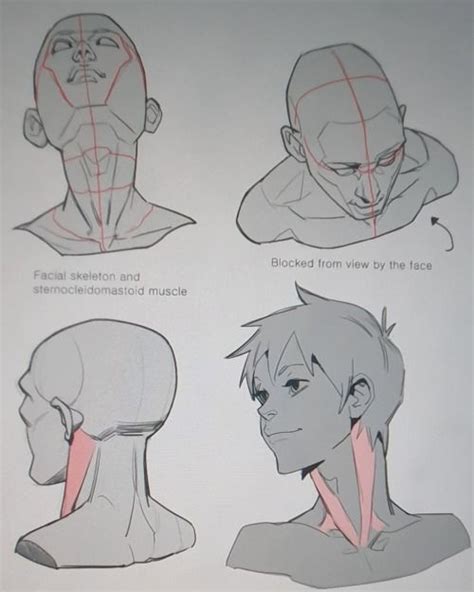 Pin de Kuikart em Dessin anatomie Tutoriais de desenho Referência de