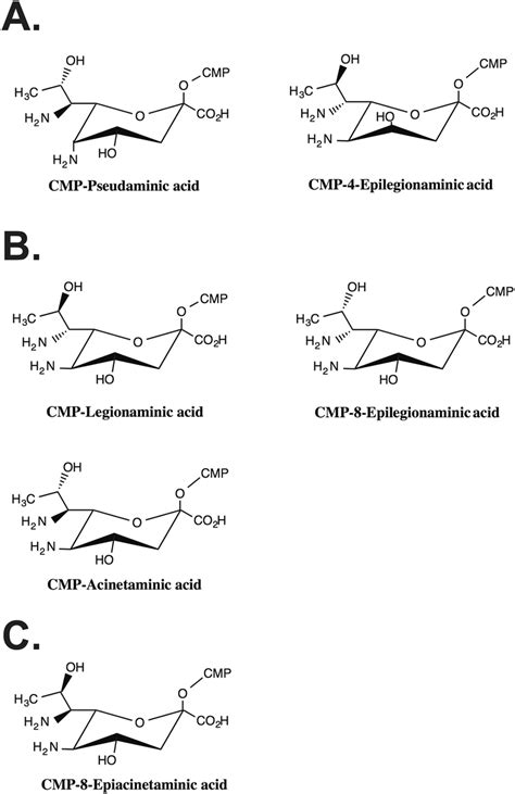 Structures Of Naturally Occurring Download Scientific Diagram