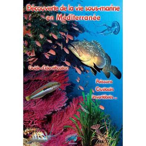 D Couverte De La Vie Sous Marine En M Diterran E Ditions Gap