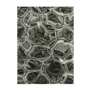 Sem Of Open Cell Polyurethane Plastic Foam Photograph By Pixels