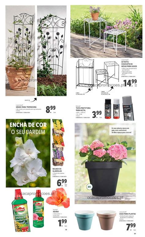 LIDL Destaques Antevisão BAZAR Especial Jardim Promoções a partir 9