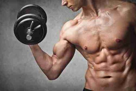 Best Way To Build Muscle Mass Fast