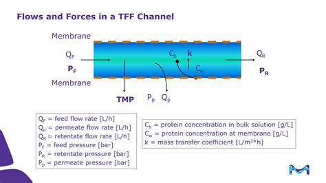 Introduction To Tangential Flow Filtration Tff Ppt