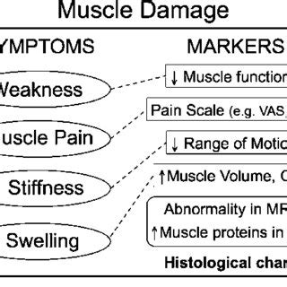 Four Main Symptoms And Several Commonly Used Markers Of Muscle Damage