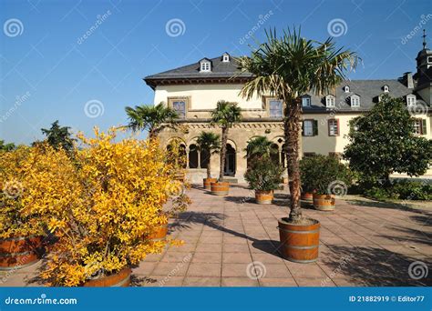 Luxury House With Palm Trees In Front Of It Stock Image Image Of