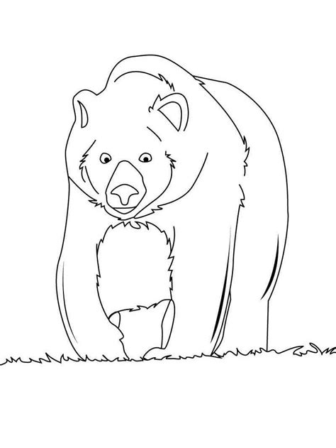 Simple Brown Bear Coloring Page