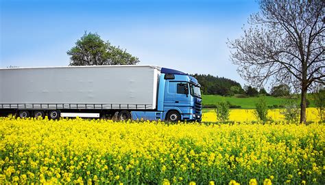 Skupina CARGO SYSTEM - CARGO SYSTEM - Tuzemská i mezinárodní doprava po ...