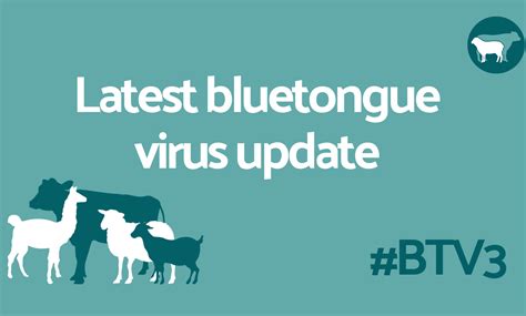 Bluetongue Virus - Ruminant Health & Welfare