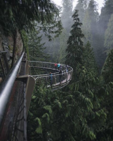 Vancouver capilano suspension bridge park – Artofit