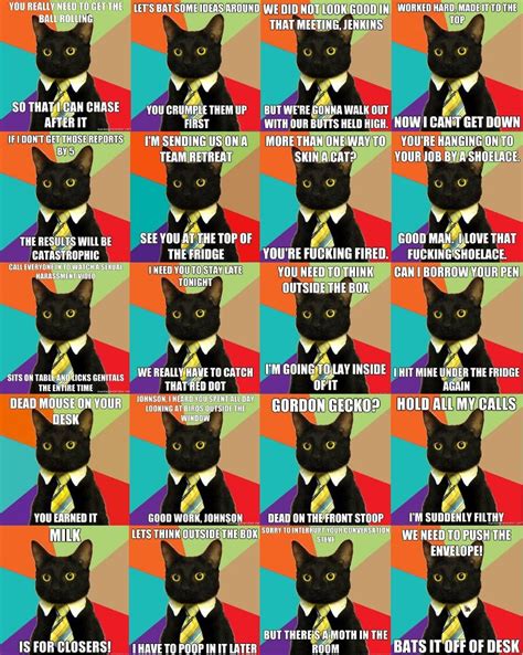 Business Cat Meme Right Meow All About Cats Jenkins Critter