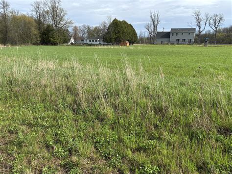 Plattsburgh Real Estate | Find Houses & Homes for Sale in Plattsburgh, NY