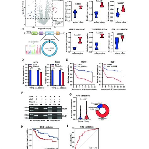 Circ0062682 Is Upregulated In Crc And Correlated With Poor