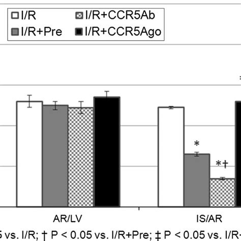 Myocardial Infarct Size The Ischemia Region Ar Lv Was Similar Among