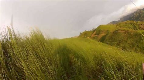 trekking  tall grass fields  cibadak west java indonesia