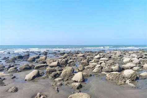 Worlds Longest Sea Beach Coxs Bazar Vacation N Relax Tour Getyourguide