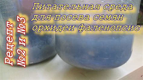 Питательная среда для посева семян орхидеи фаленопсис. Рецепт №2 и №3 ...