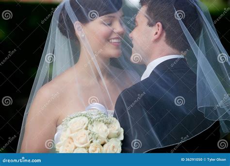 Bride And Groom Kissing Under Veil Stock Photo Image Of Couple Bunch