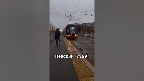 Трамвай 55 Невский 7759 СПБ #транспорт - YouTube